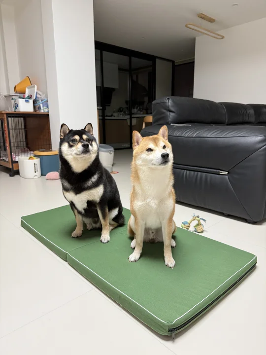 稍息！立正~！！听我讲两句！