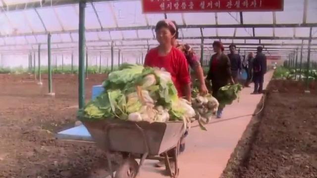 ２０２５年十大最佳农业郡和三十大最佳农场评选结果揭晓。
被评２０２５年十大最佳农