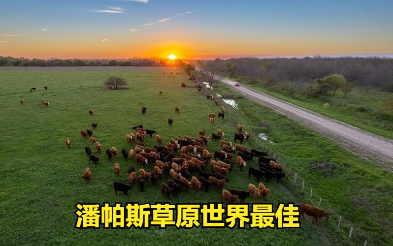 日本是个火山、地震、海啸高发的地区，自然灾害频发，加上纬度偏高发展农业水热条件不