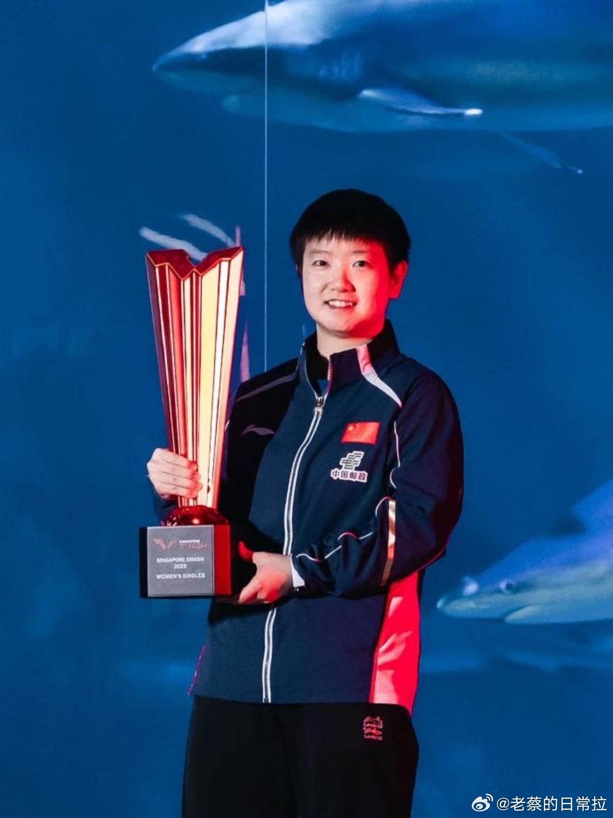 Wtt新加坡大满贯 国乒交出2冠2亚答卷：单打双子星稳守王座，双打大胆锻炼新人。