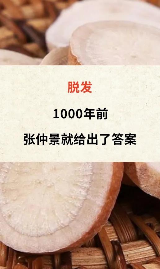 脱发
1000年前
张仲景就给出了答案
医圣张仲景早在1000年前就说过
脱发这