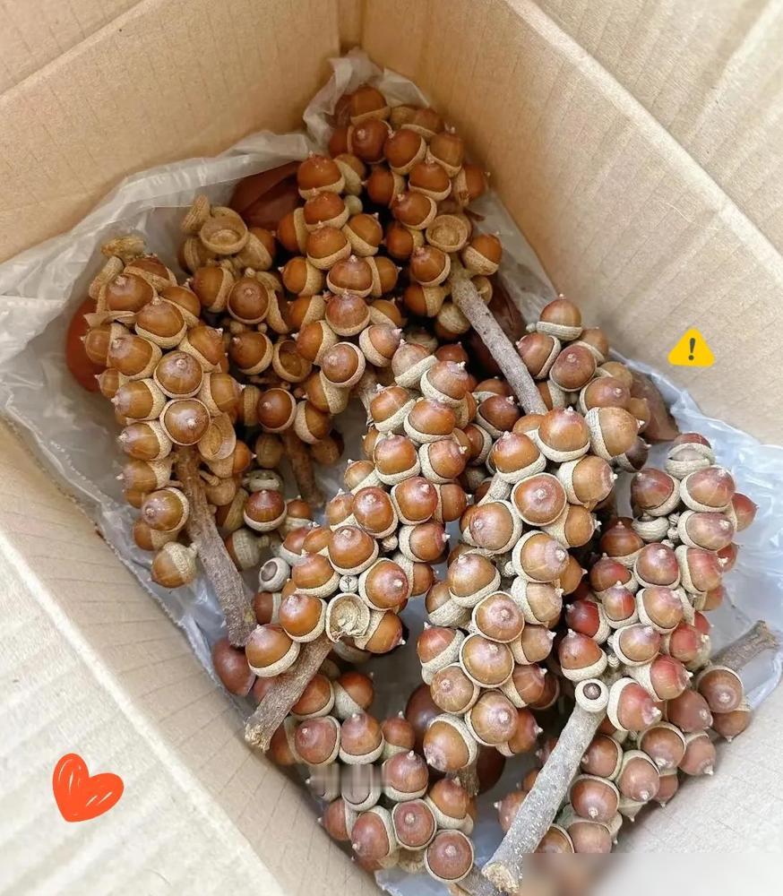 国庆家里收到一个快递，我妈兴冲冲拆开，看完直接想扔垃圾桶。

其实这事我特别能理