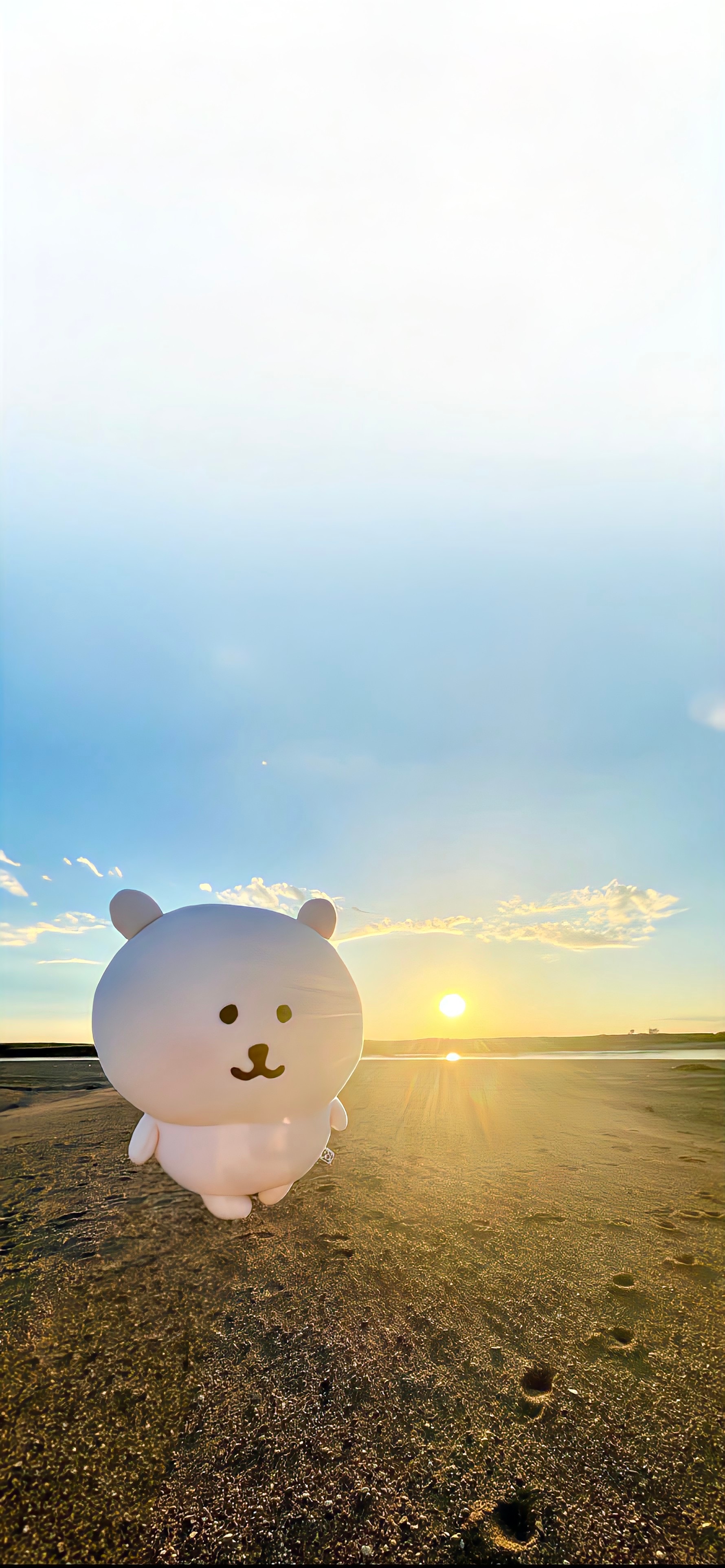 自嘲熊壁纸（❛‿˂̵✧） 