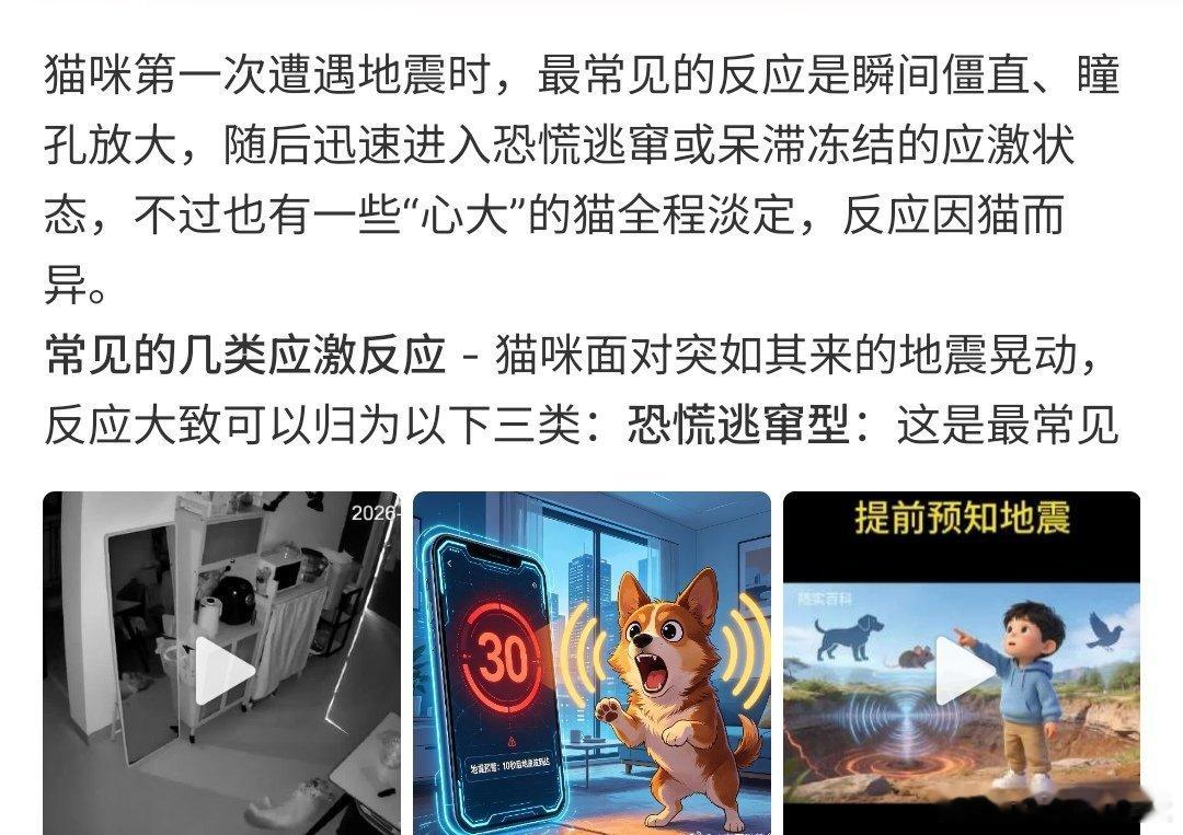 猫咪第一次遇到地震的反应猫咪对于地震的感觉很准，当然遇到地震应该会乱跑，毕竟地震