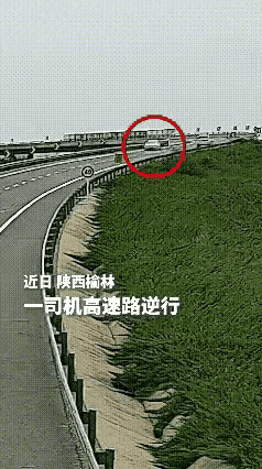 这是谁的部将，这么勇猛。
