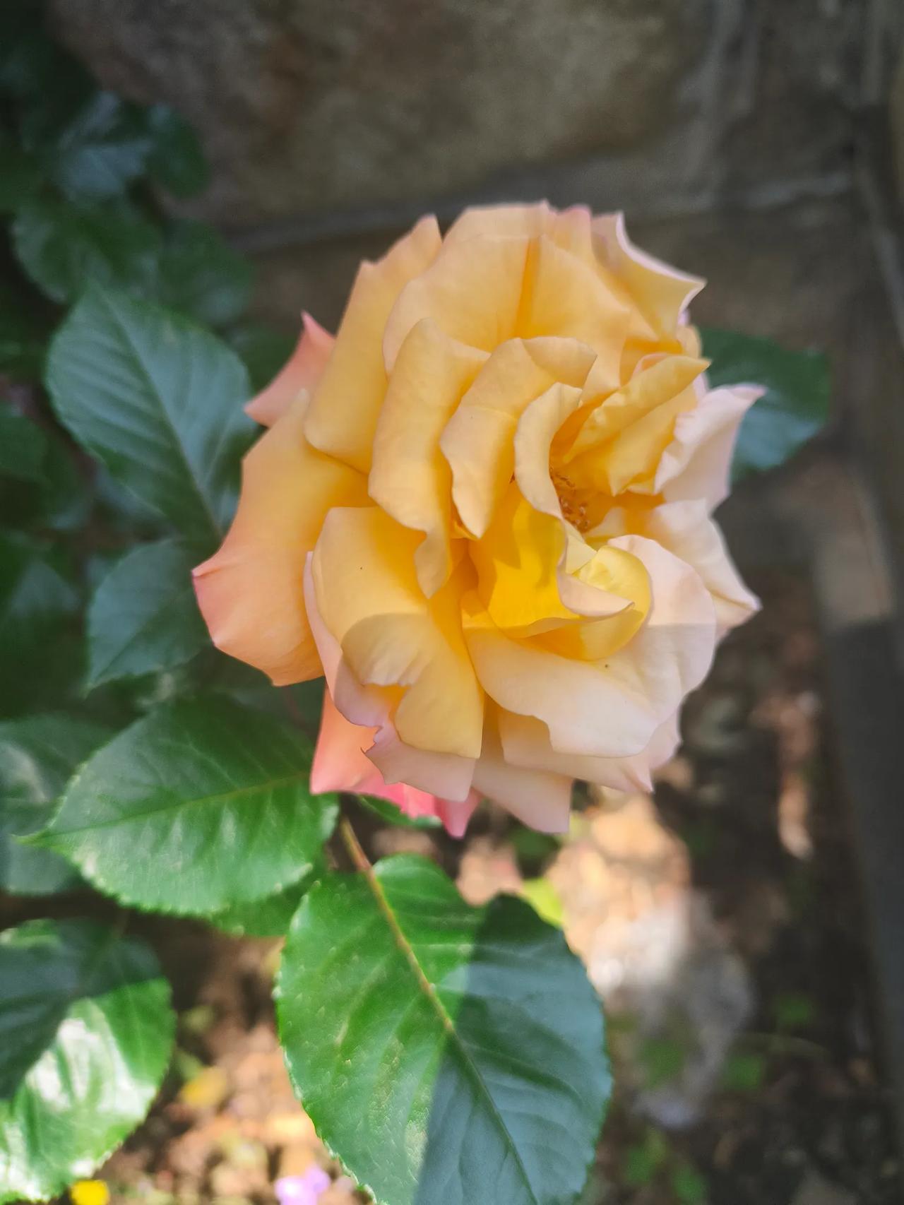 既然选择了，就要学会适应。夫妻同心，其利断金。如果只看缺点，不看优点，毁的是自己