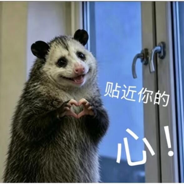只是很少关注贺鑫隆和金俊抒不是脱粉啊 在tour政瞳和法嘉hdl保留幸章力粉籍介