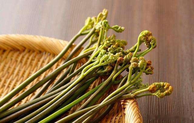 #健闻登顶计划# 【吃蕨菜会致癌？】蕨菜的主要致癌物质为原蕨苷，属于 3 类致癌