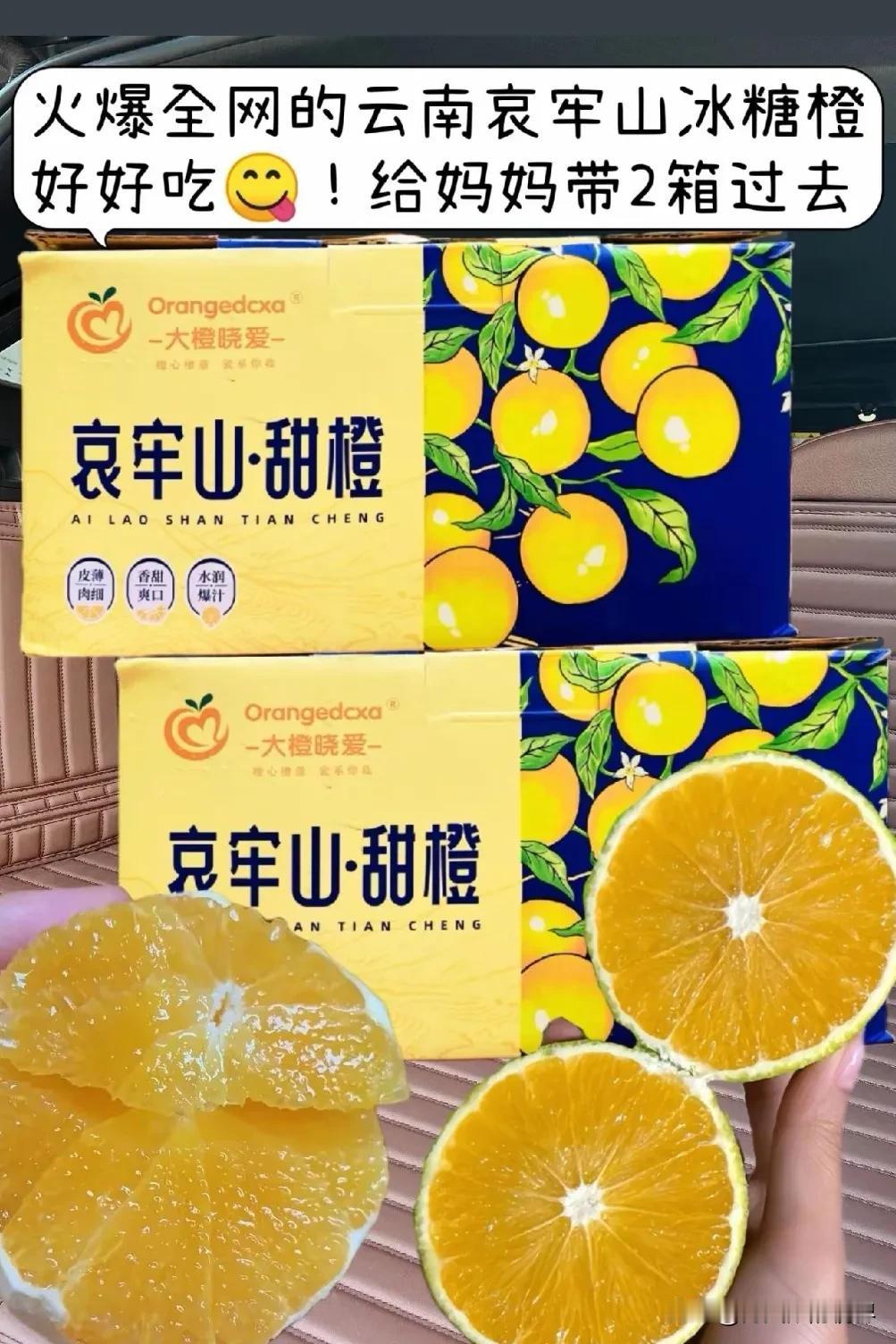 对于哀牢山和哀牢山的特产突然走红，有三个没想到：

第一个没想到，博主“山取画材