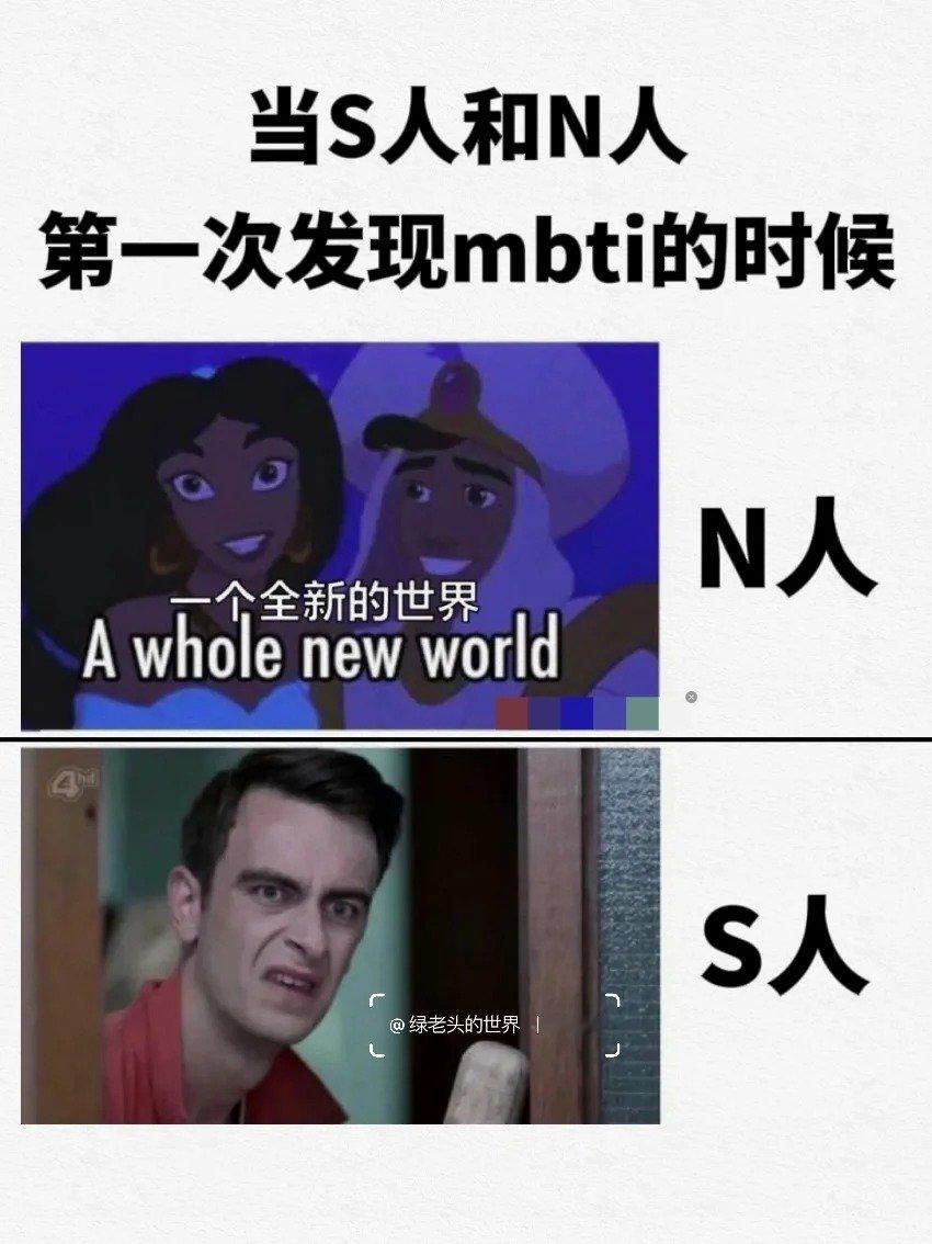 终于有人能把S人和N人说清楚了！#我发现了S人和N人最直观的区别# ​​​
