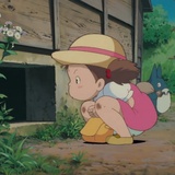 小猫爪侃情感