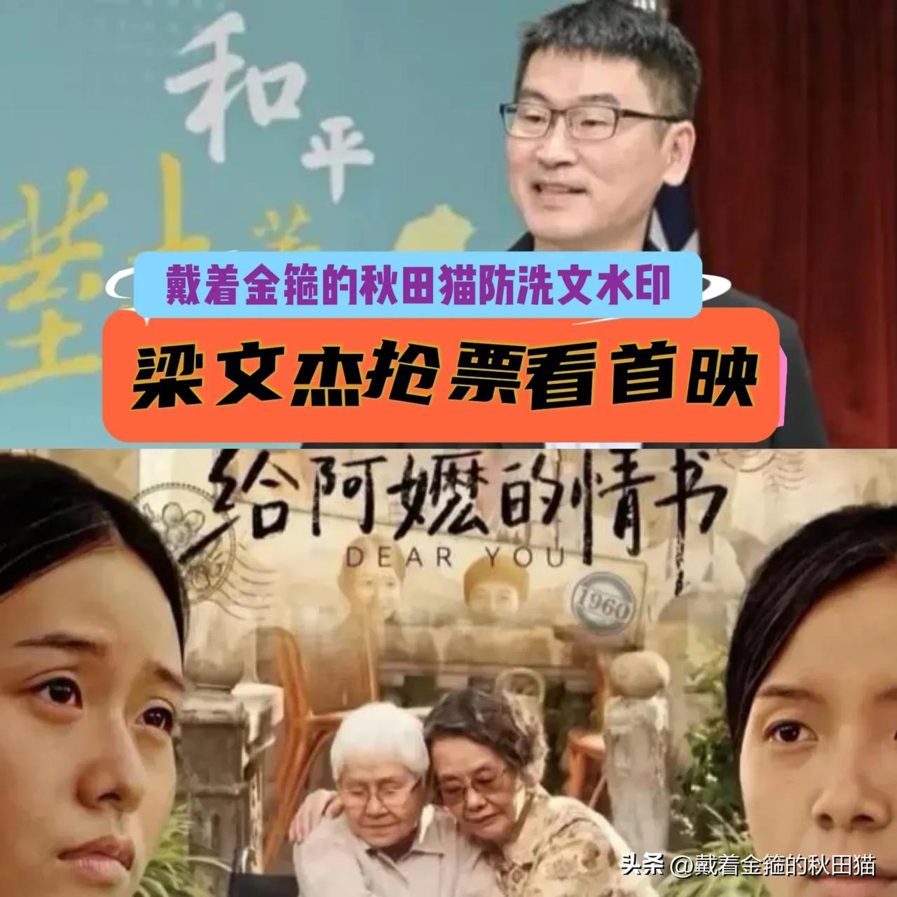 良心未泯？
最让人意外的是，绿高官、陆委会副主任梁文杰也抢票去看了《给阿嬷的情书
