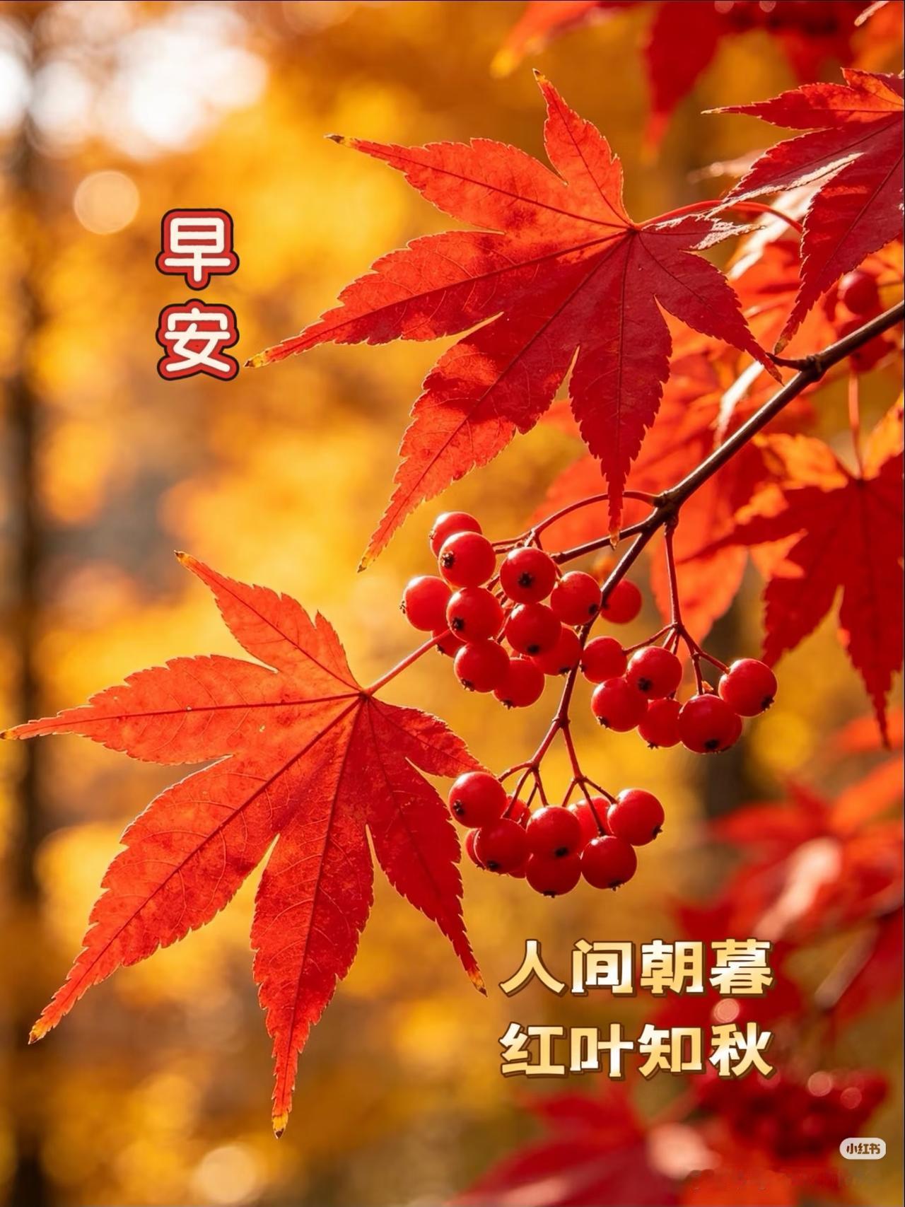 早上好，今天是8月24日星期一，女排亚锦赛第三天。
昨日中国女排轮空，今晚19点