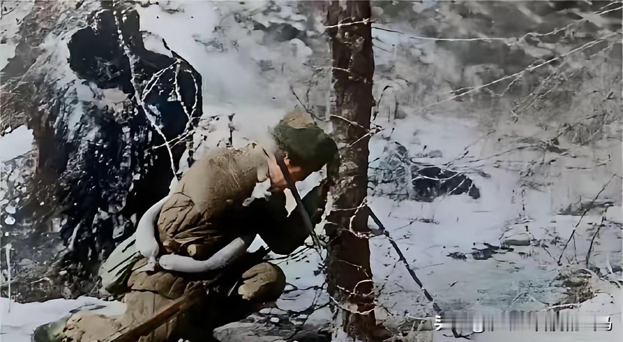 1950年长津湖的冬天，零下四十度，照片里这位战士单膝跪在铁丝网前，凝固成了永恒
