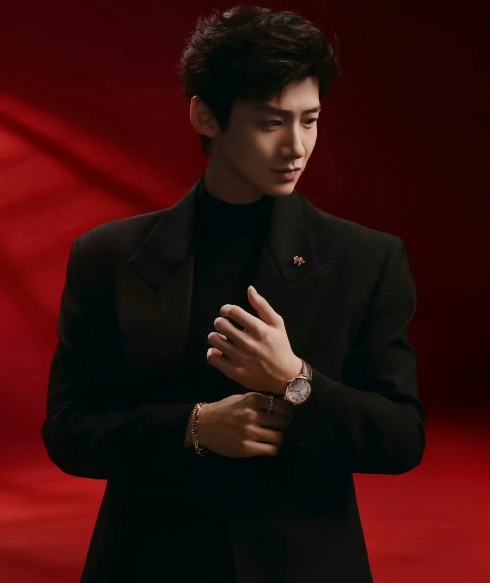 白敬亭卡地亚新春大片来了，贵气十足啊