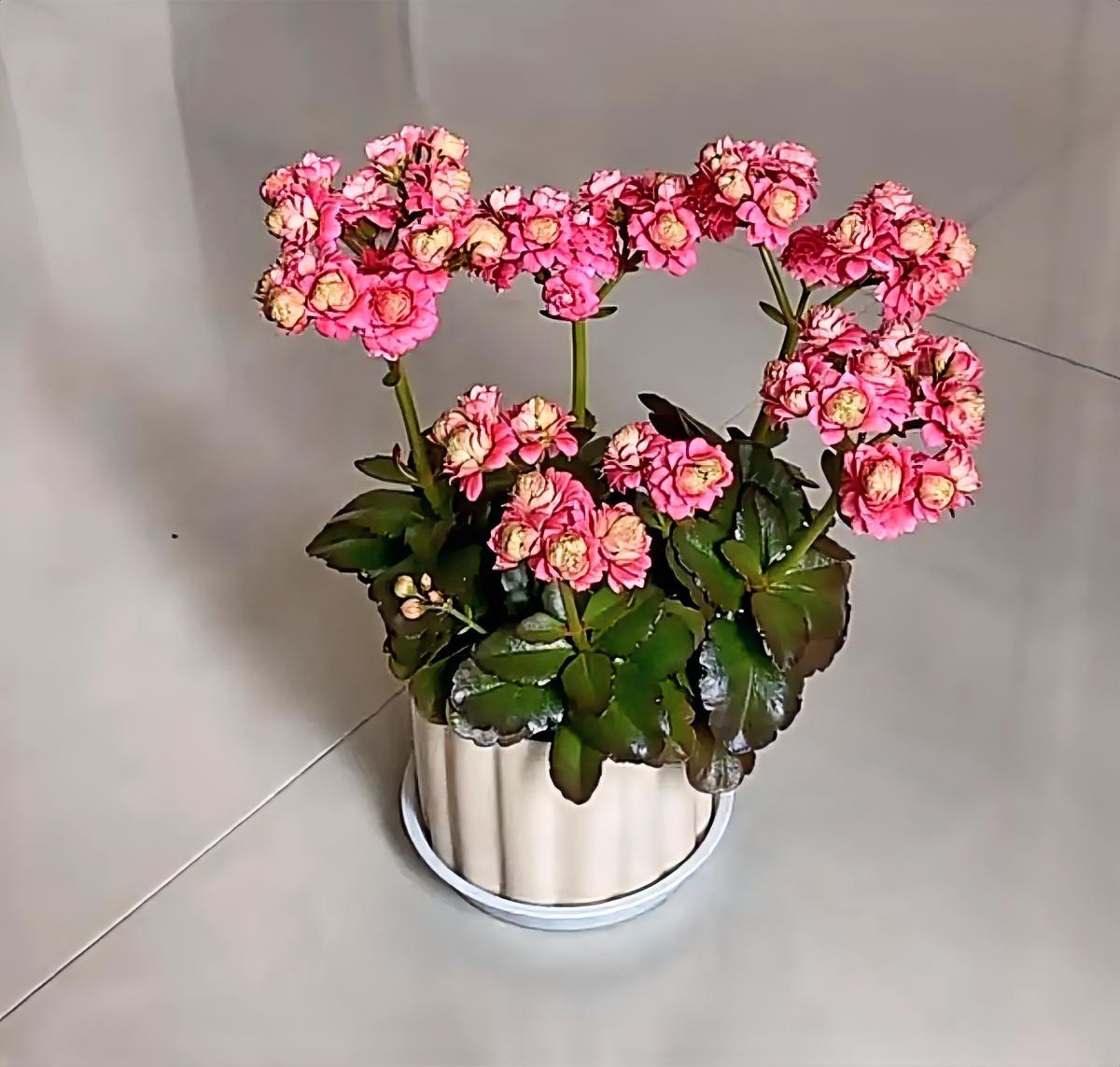 2026新年生活图鉴，真实又接地气。假期里睡到自然醒，和家人吃顿热乎饭，和朋友聊