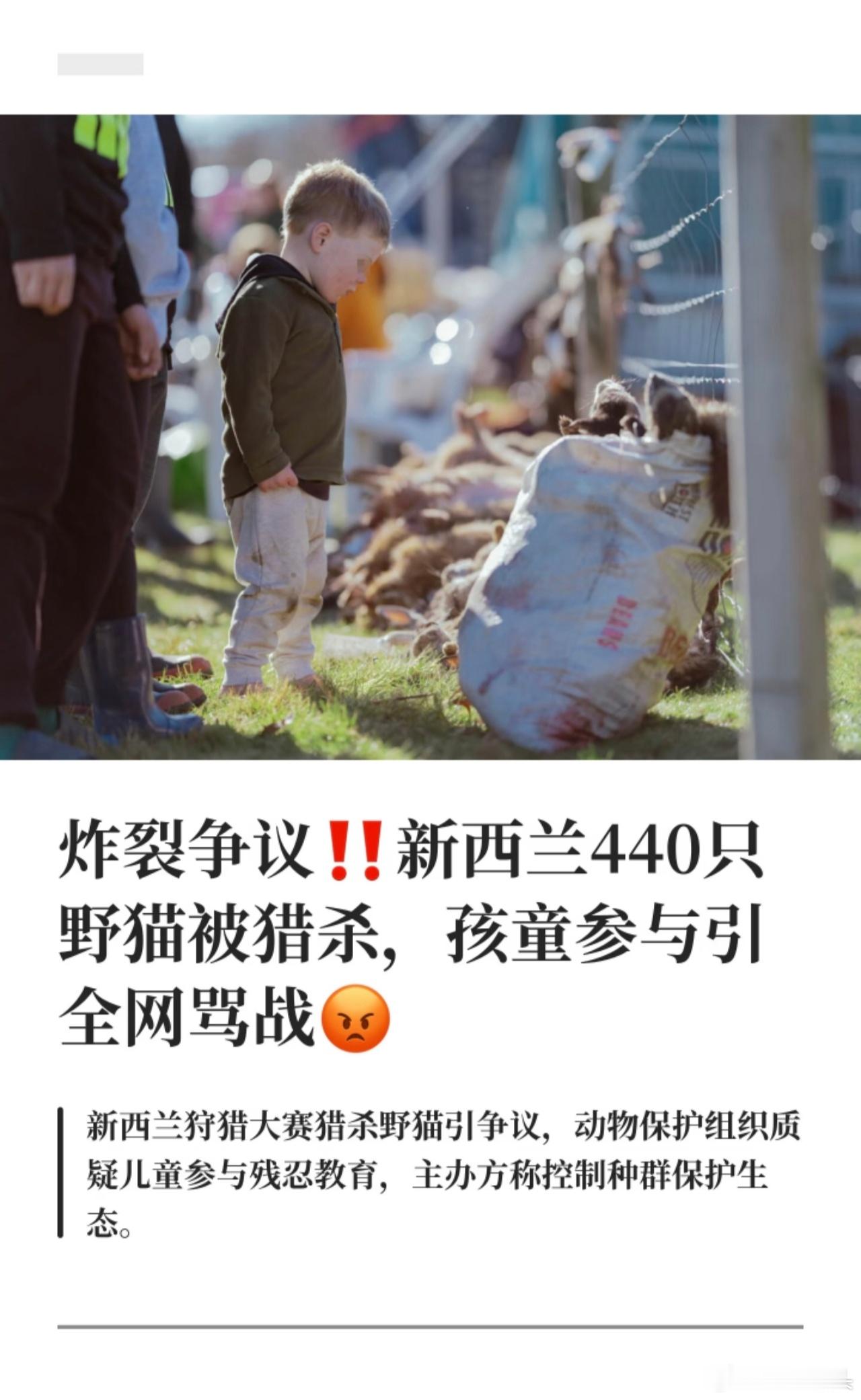 寰球镜头新西兰狩猎大赛猎杀野猫引争议，动物保护组织质疑儿童参与残忍教育，主办方称