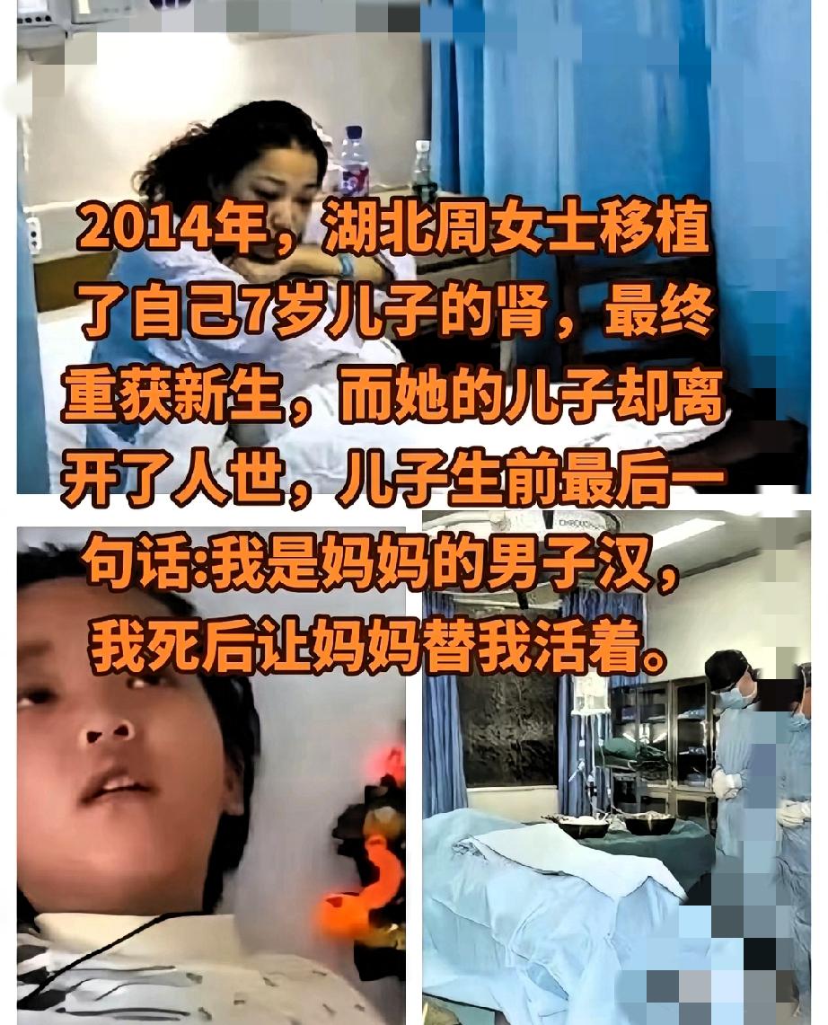 七岁男孩捐肾救母，他留在妈妈身体里的肾脏，是跨越生死的爱！
湖北周璐得尿毒症后，