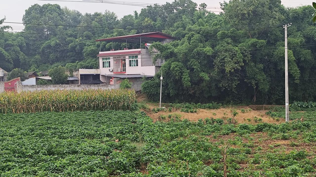 晒图笔记大赛乡村风景欣赏分享随手拍风景