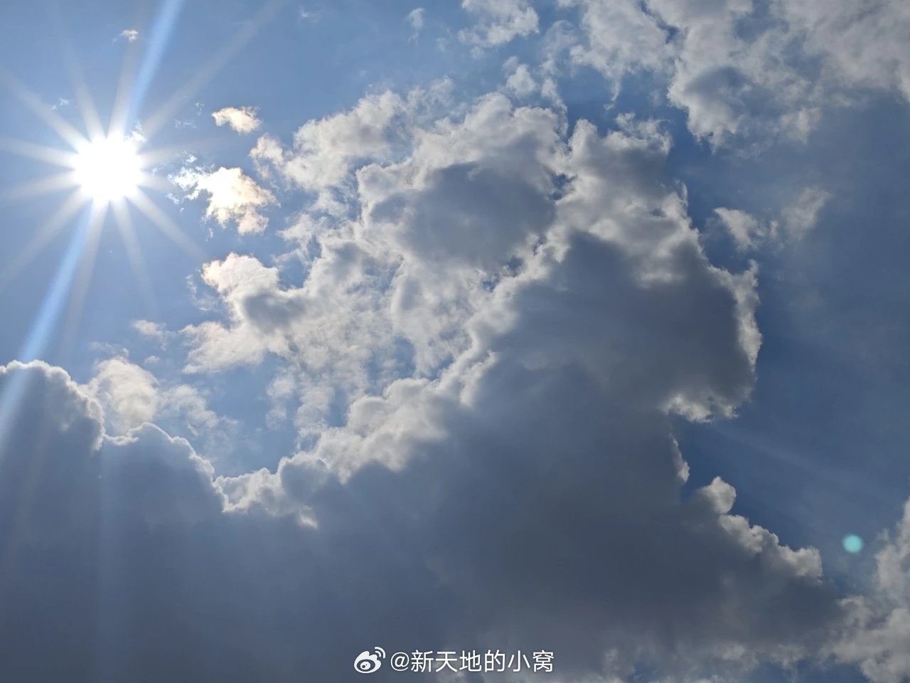 关注生活 关注健康三伏天“晒背”祛湿补阳还减肥？医生：3类人别晒，养生做好3件事