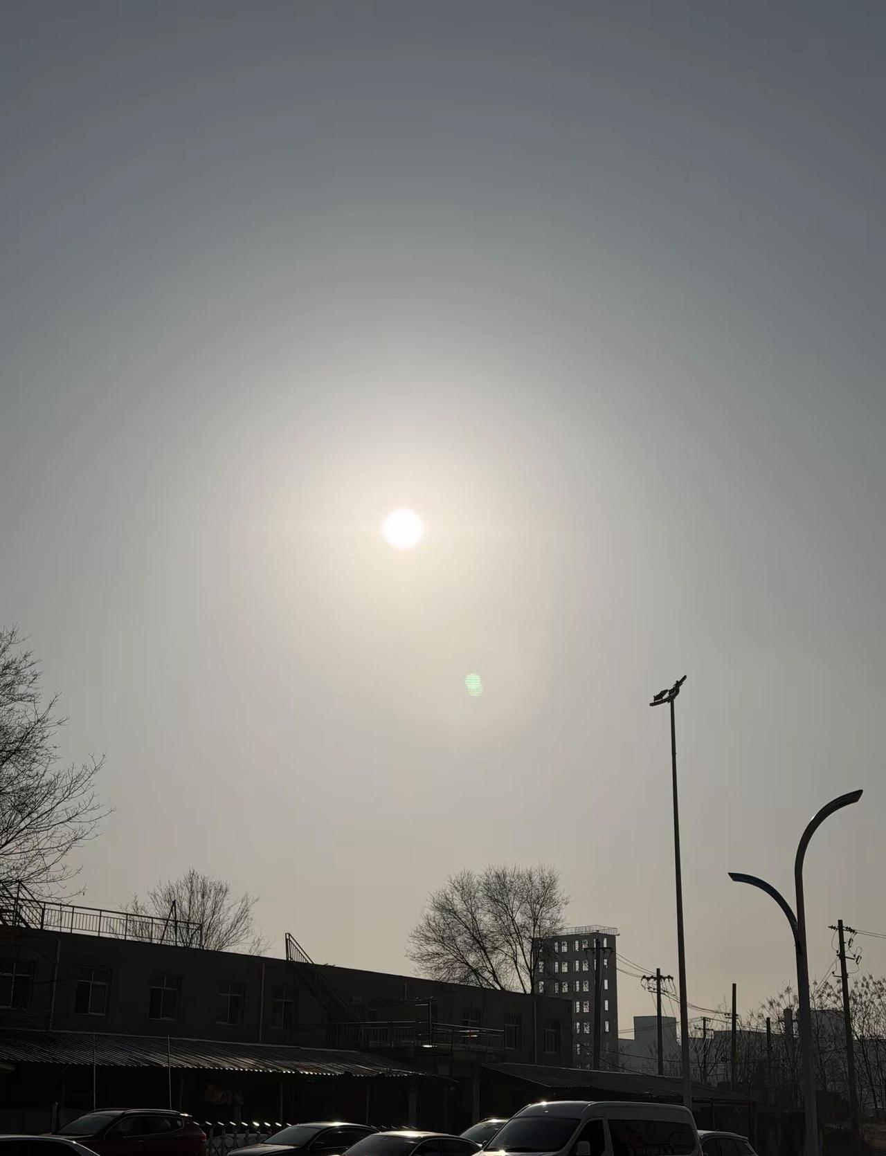 快看！大太阳！！！！