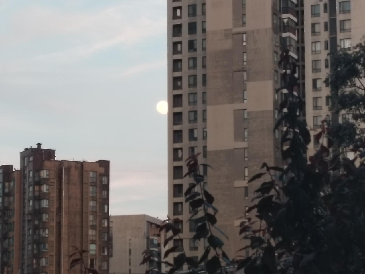 初春的黄昏，居室窗外，在高楼林立的夹缝中窥见西边天际红霞满天，而东边灰茫的苍穹中