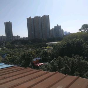 努力的小杨