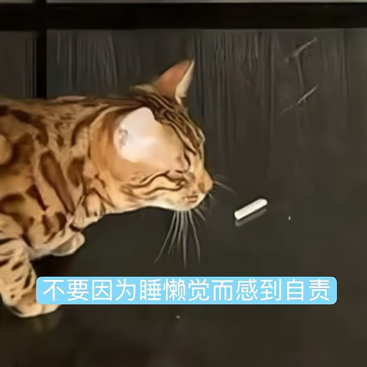 分享图片 