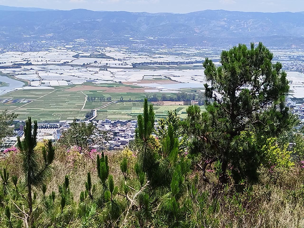 山上的空气就是好