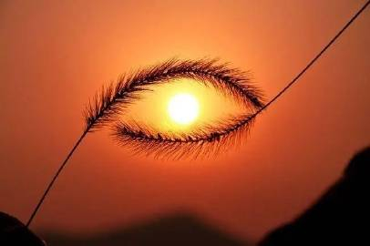 人不走出去，家就是你的世界，走出去世界就是你的家。——稻盛和夫 ​​​
