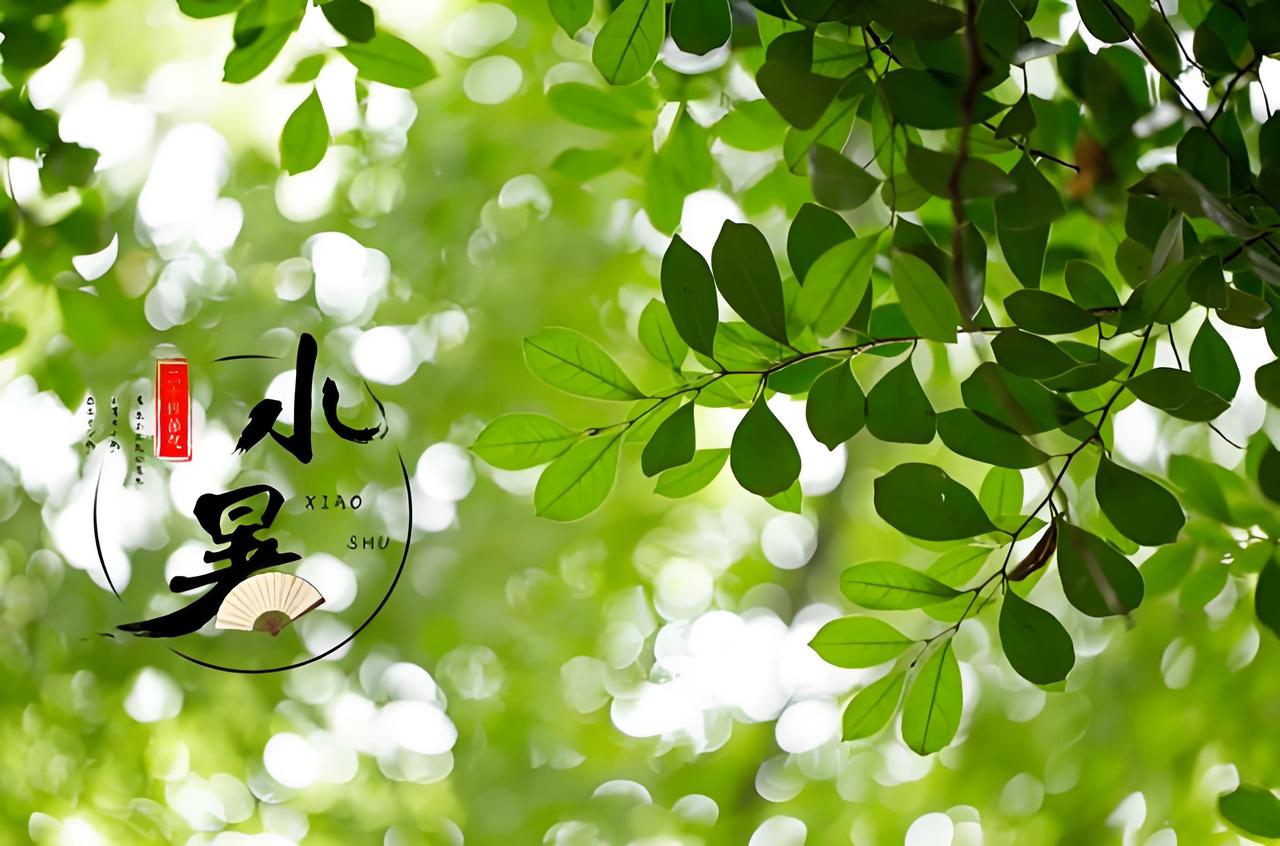 苏幕遮 · 小暑述怀

沐阳熏，迎日曜。
播种耕耘，仲夏田间燥。
暑气倏然循序到