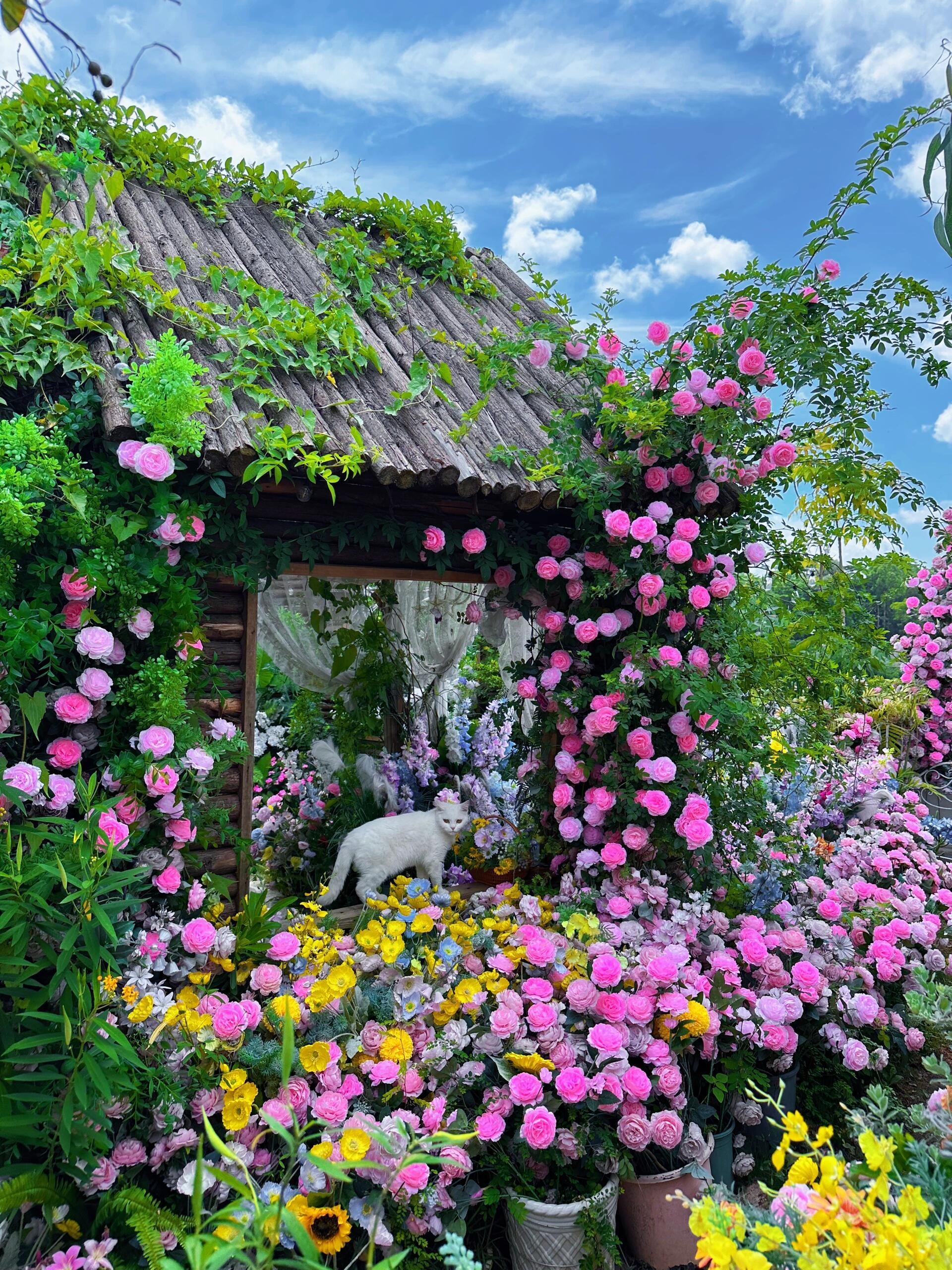 春风一吹，日子都变得温柔起来。趁着天气晴好，出门走走看看，感受万物复苏的生机。枝