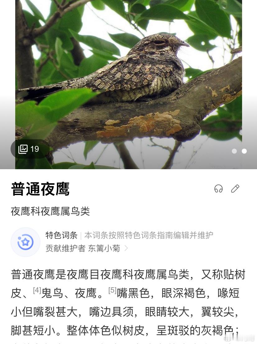 科学家起名能有多随意[喵喵]#春日cityhappy计划##遇见春天# ​​​
