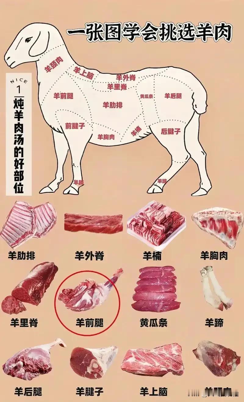 喝羊肉汤暖身体
但是，你知道炖羊肉汤最好的部位吗？这张图告诉你。