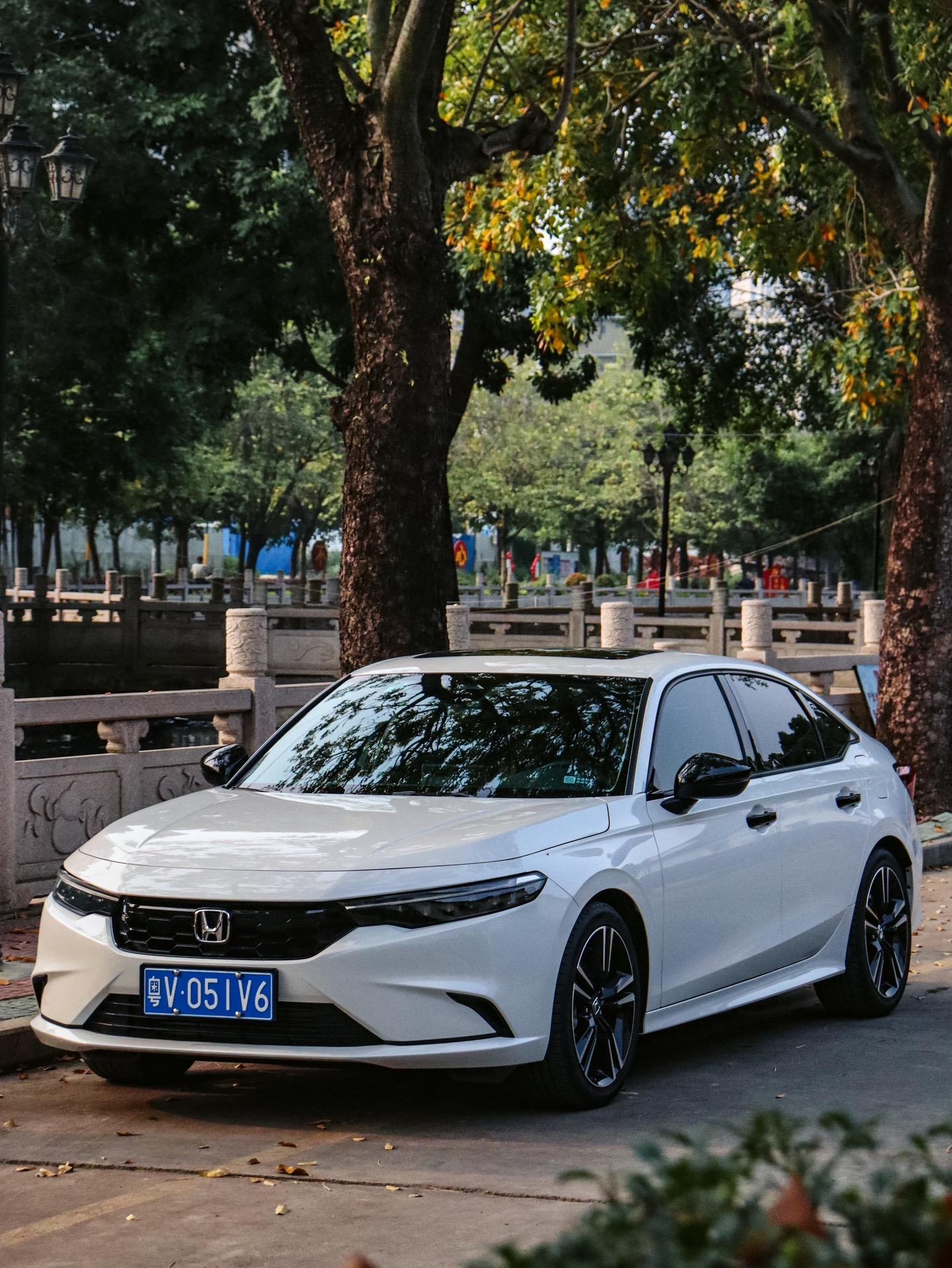 世上有很多迷人的花，但我只喜欢有结果的树