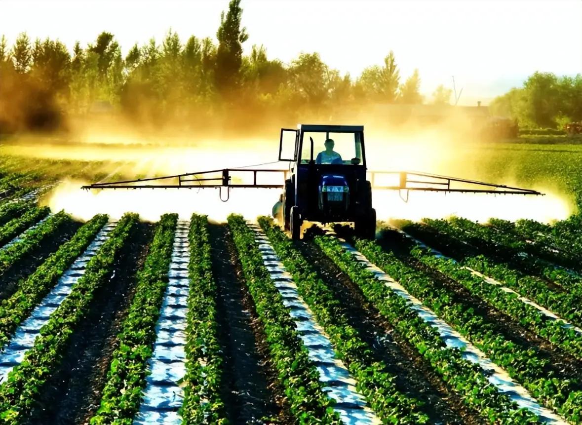 月销10万的“拆袋即炒”鲜切菜，是懒人福音还是智商税？背后真相扎心了
 
你是否