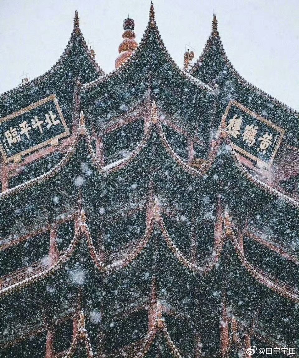 上海下雪杭州下雪南京下雪武汉下雪 好家伙南方大面积下雪啦看来这波冷空气很凶猛我在