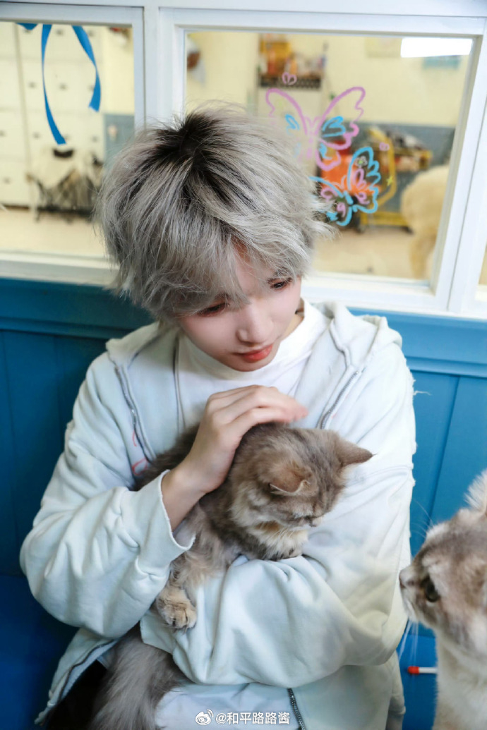 猫猫和🐱2026pel夏季赛2026pel