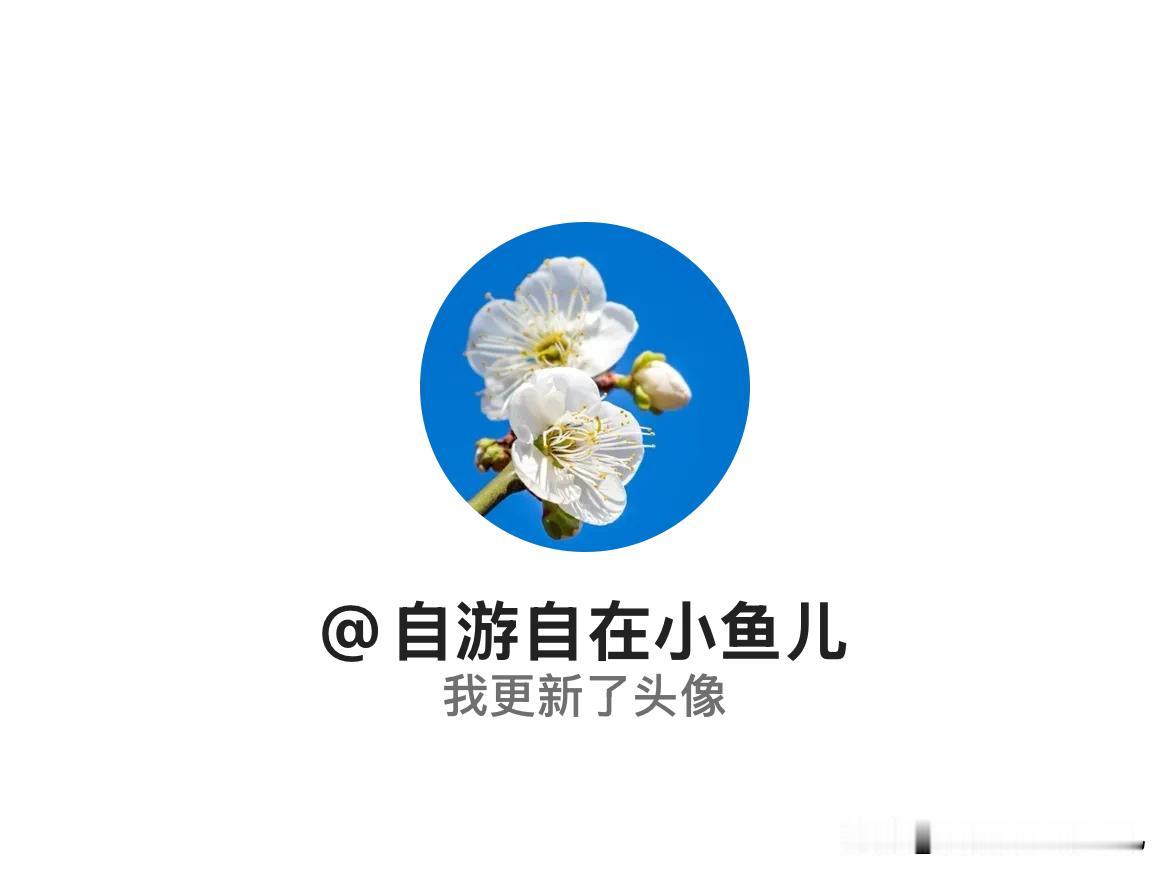 快来看看我新换的头像吧
