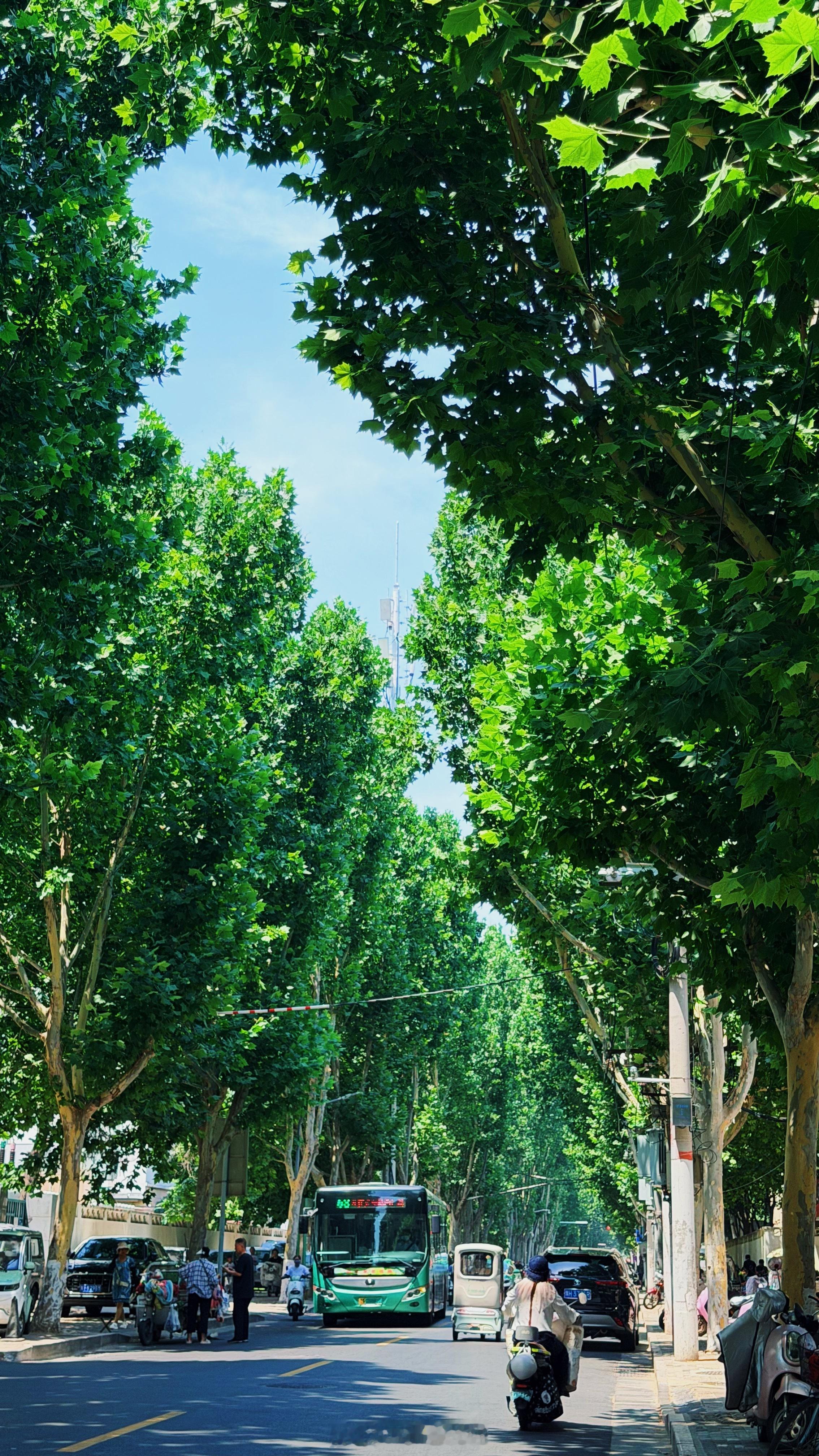 夏天来了
