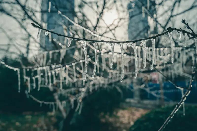 而结冰就不同了，水变成冰的过程是一个不断失去热量的过程。当气温持续下降到冰点以下