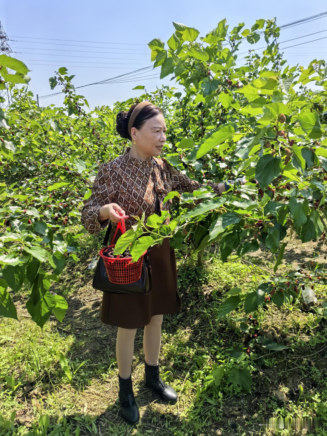 《清平乐·春色同享》
 
春色同享，
万里风光朗。
健康相伴人生路，
岁岁安然无