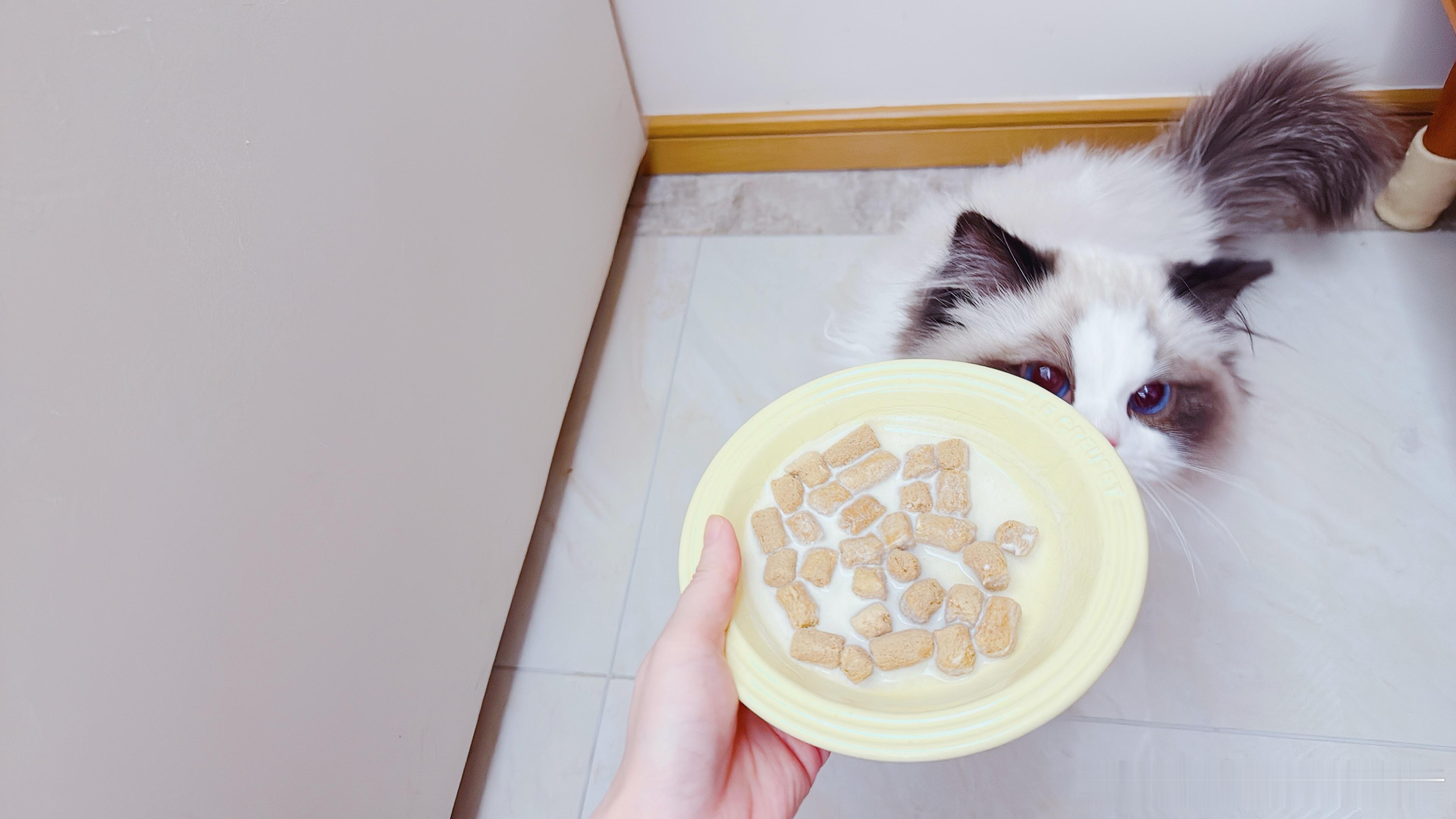 吃你的儿童餐吧奶娃儿 ​​​