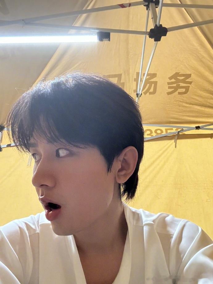 #成毅怼脸拍出表情包# 看着这些成毅的怼脸拍出的表情包，心情都变好了。 ​​​