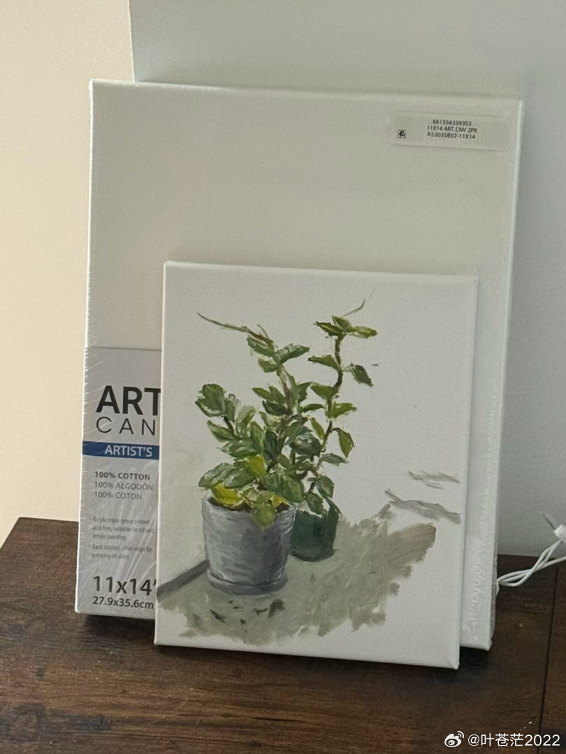 前段时间我给小同学寄了一箱画笔和颜料，他自己买了新画架，以为他根本没有时间画画，