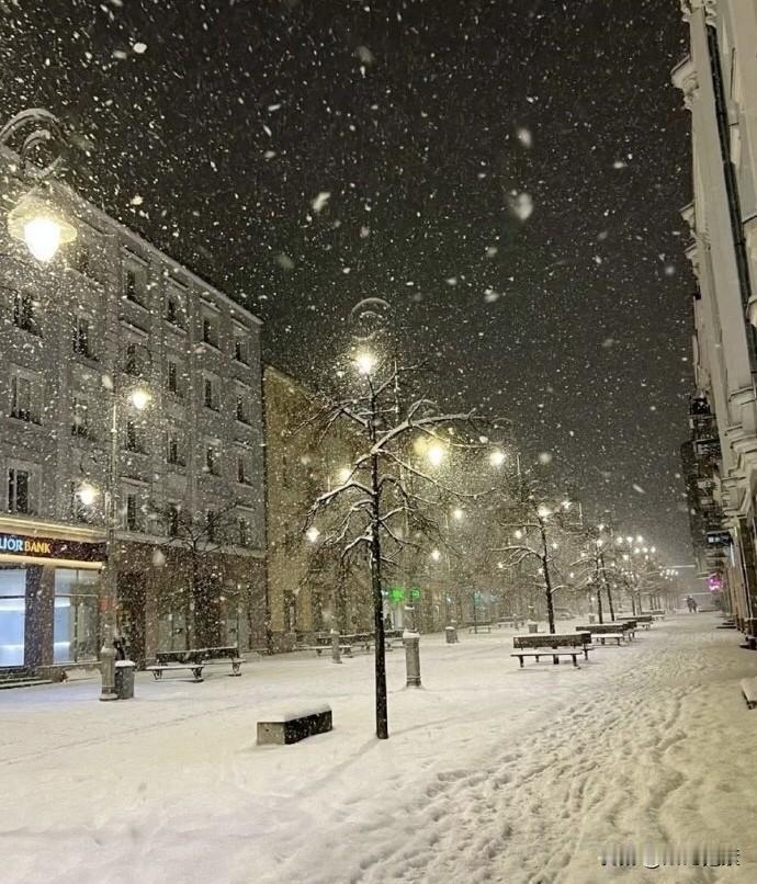 郑州下雪了，瑞雪兆元旦。
天雪吃火锅，红泥小火炉。
韭花蘸羊肉，黑啤二锅头。
喊