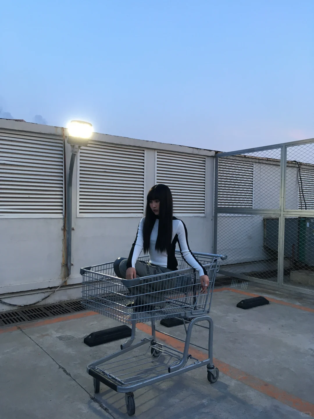 在🛒里 被推走