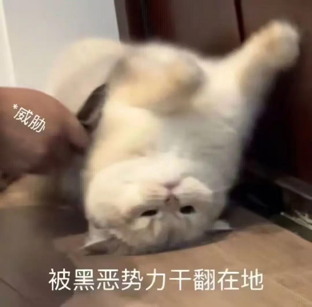 装修是一个遗憾工程吗 阳台没留水龙头，浇花拖地全靠厨房接水 