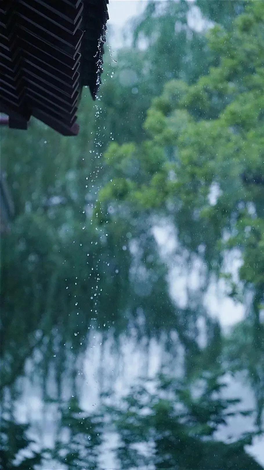 听雨
文/周嗣远

岚气遮山有却无，开窗看景赏跳珠。
风狂雨暴难成寐，电闪雷鸣翠