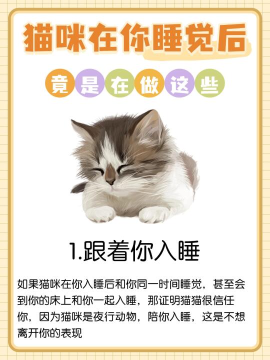 原来我睡觉后，猫咪是这样的😺